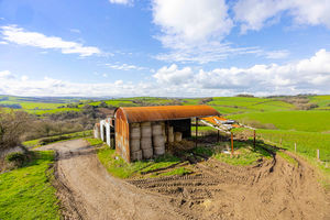 Photo 5- click for photo gallery